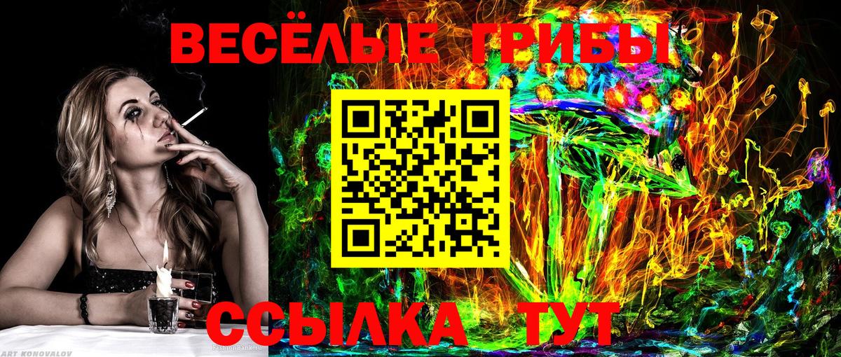 Псилоцибиновые грибы Psilocybine cubensis  Вход с VPN  Электросталь 