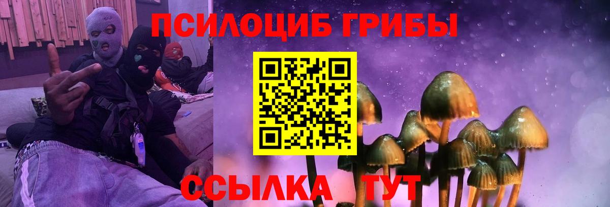 Псилоцибиновые грибы мицелий Электросталь